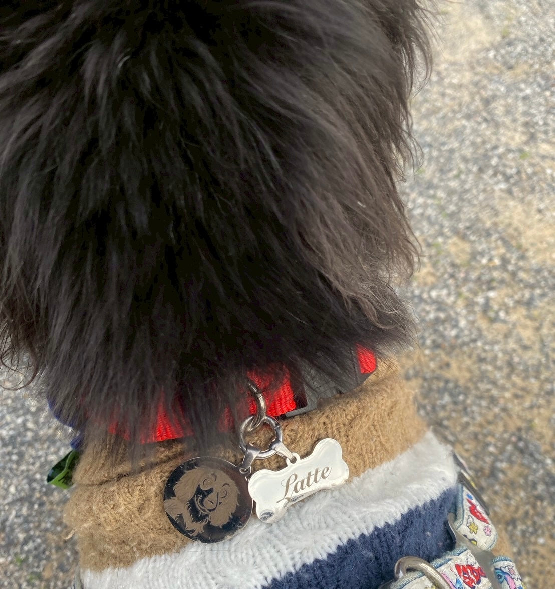 Pet Charm(ペットチャーム)