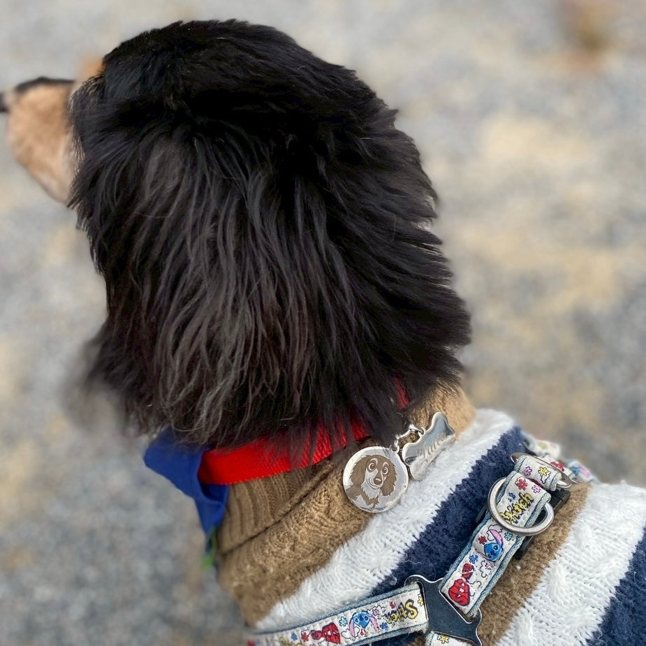 ラウンドチャーム (画像・イラスト)