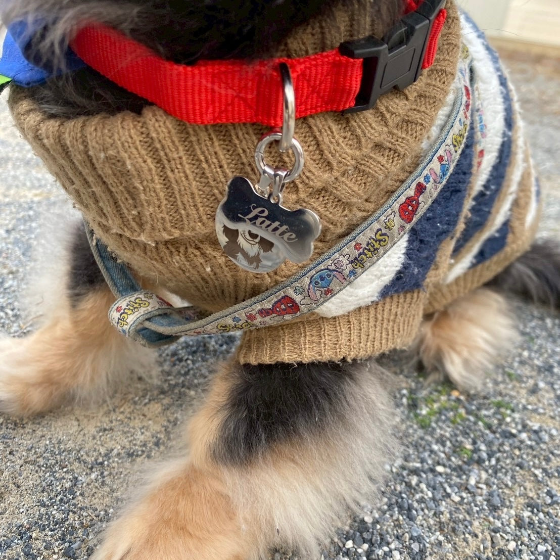 Pet Charm(ペットチャーム)