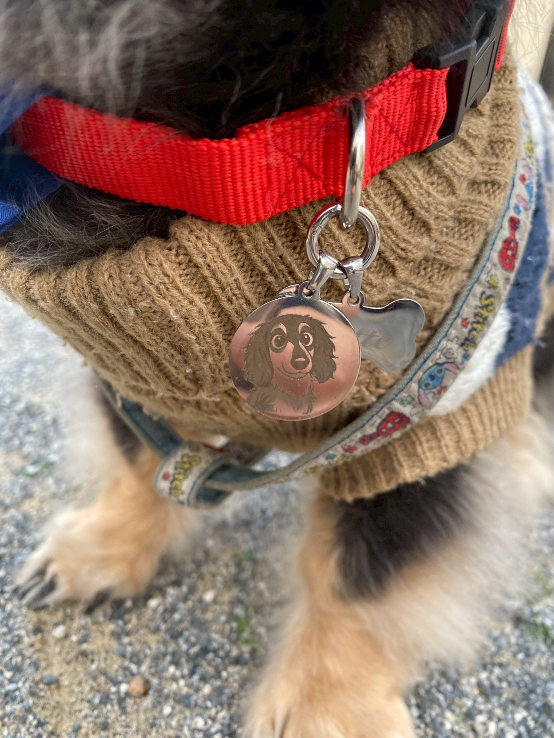 ラウンドチャーム (画像・イラスト)